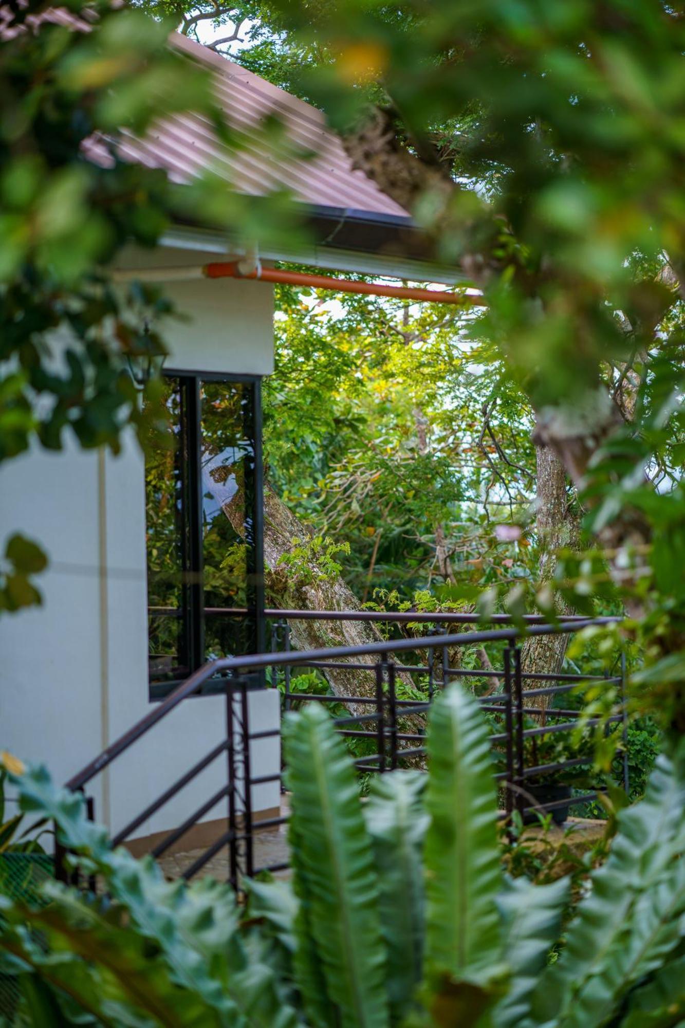 Oceanside 2 Bedroom House, 100Mbps Wifi Panglao Bagian luar foto
