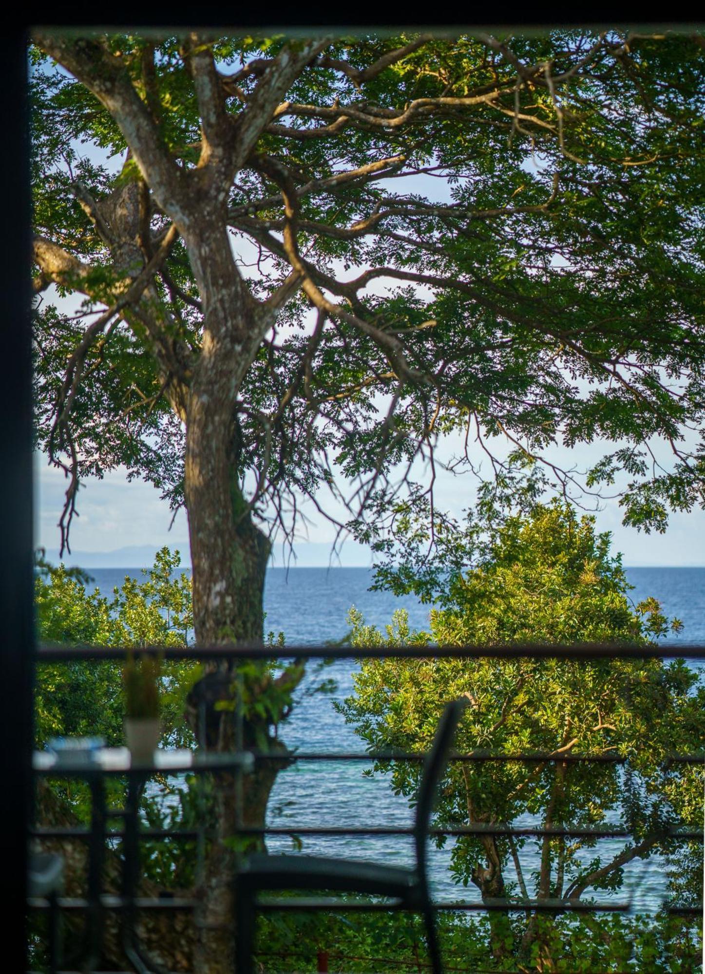 Oceanside 2 Bedroom House, 100Mbps Wifi Panglao Bagian luar foto