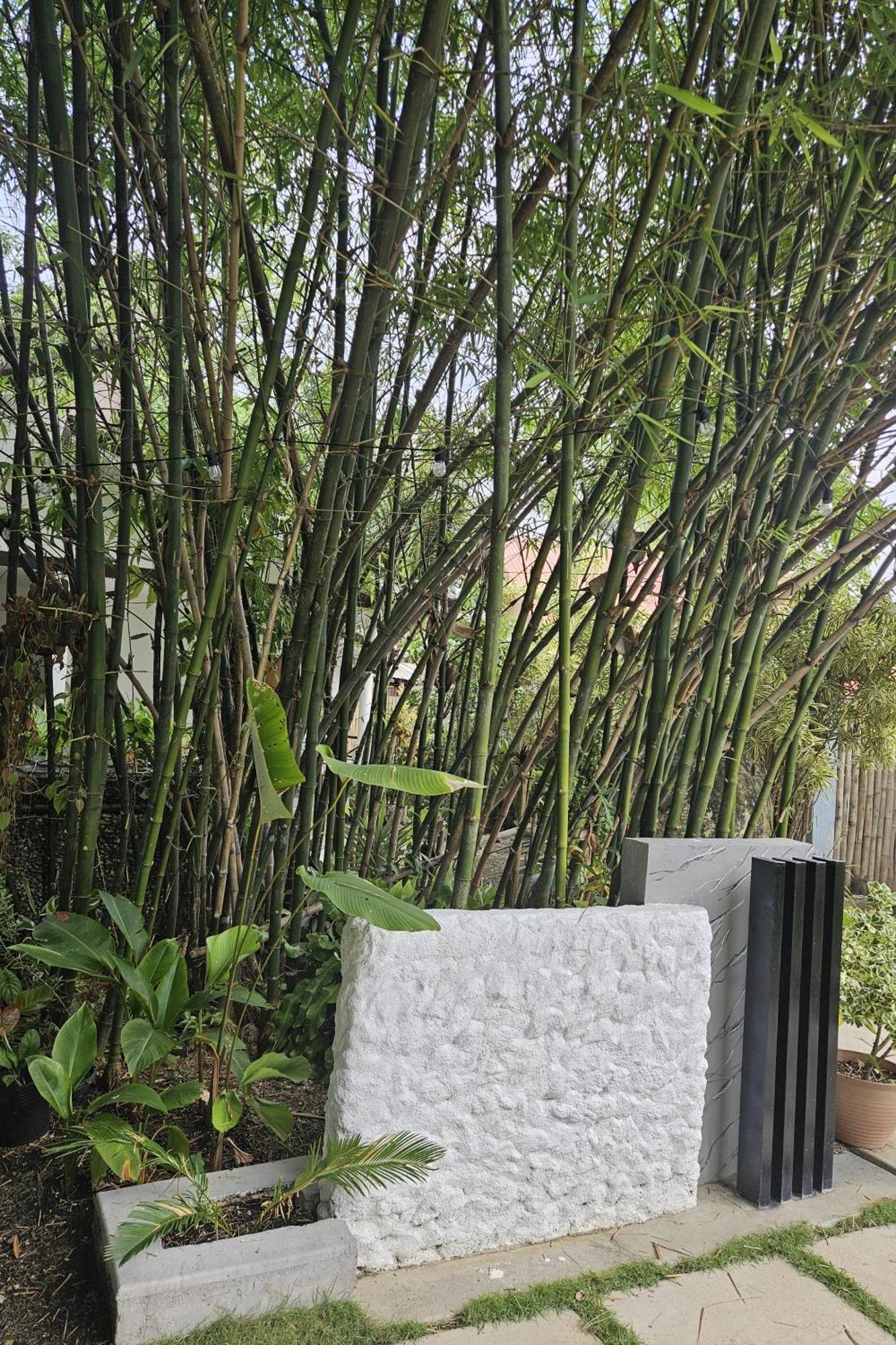 Oceanside 2 Bedroom House, 100Mbps Wifi Panglao Bagian luar foto